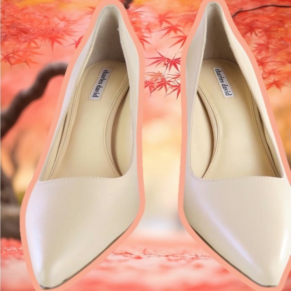 NWOT Charles David ‘Denise’ Pointed-Toe Pumps in Nude Leather Size 11 - Picture 3 of 16